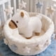 thumbnail image 5 of Juguetes de piscina, juguetes para bebés, juguetes para niños pequeños, ponis simulados, muñecos de peluche de caballo de patas cortas, lindos caballos del zodiaco, muñecos infantiles, mascotas del añ, 5 of 6