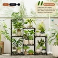 thumbnail image 3 of Bamworld Plant Stand Black Plant Shelf Indoor Plant Table for Multiple Plants 3 Tiers 7 Pots Ladder Plant Holder Table Plant Pot Stand for Window Garden Balcony Living Room, 3 of 6