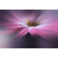 thumbnail image 3 of Nan, Juliana 14x11 Black Modern Framed Museum Art Print Titled - Galaxy..., 3 of 5