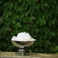 thumbnail image 6 of BalsaCircle 12" Silver Compote Bowl Centerpiece Pedestal Table Vase Wedding Party Decorations Table, 6 of 8