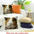 thumbnail image 4 of ZFLMY Decor Holiday Pillow Case Guinea Pig Blanket Wall for Home Sofa Couch Linen 100% - Set of 1 Pillow Covers 24x24in, 4 of 5