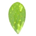 thumbnail image 2 of Nopal en tira empacado por kilo, 2 of 6