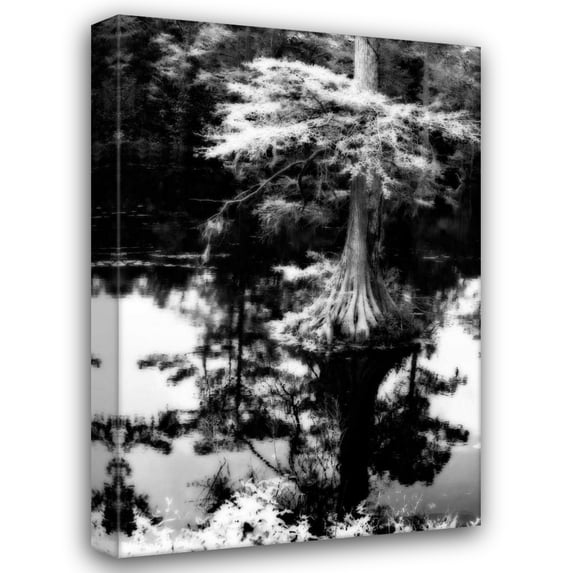 Alan Hausenflock 31x44 Gallery Wrapped Canvas Wall Art Titled - Trenton Cyprus I