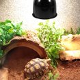 thumbnail image 4 of Accesorio de lámpara de calor para reptiles, luz de domo de 5,5 pulgadas, protector de lámpara de calor para terrarios de reptiles, cubierta de lámpara de calor para tanques de lagartos y tortugas, 4 of 8