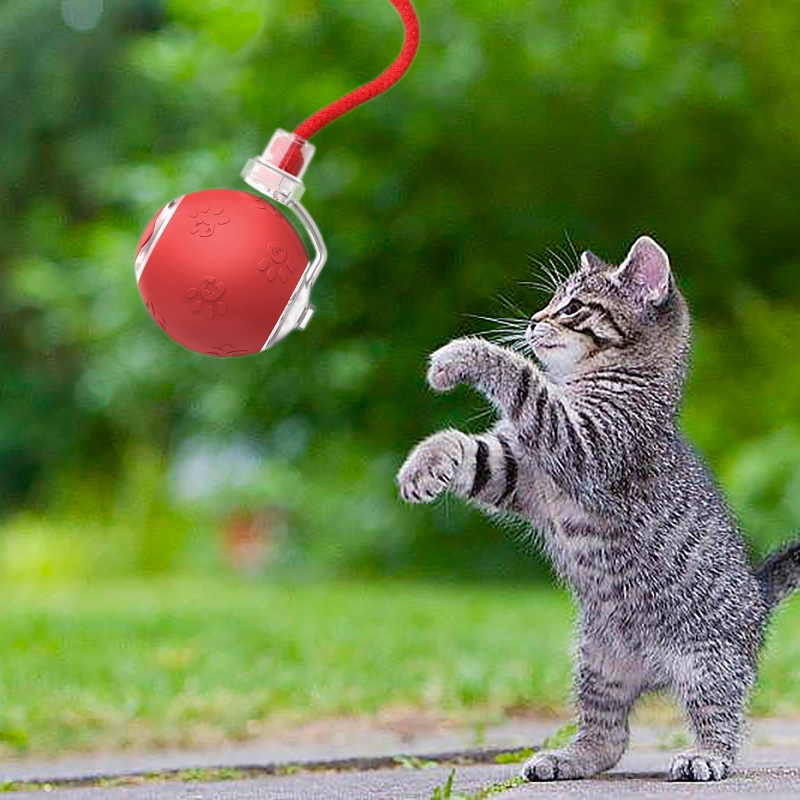 2025 Upgraded Interactive Cat Toy Ball - Fast Moving, Motion-Activated Rolling & Chirping Toy for Bored Indoor Cats & Kittens - Fun Automatic Pet Toy Gift for Adult Cats & Puppies
