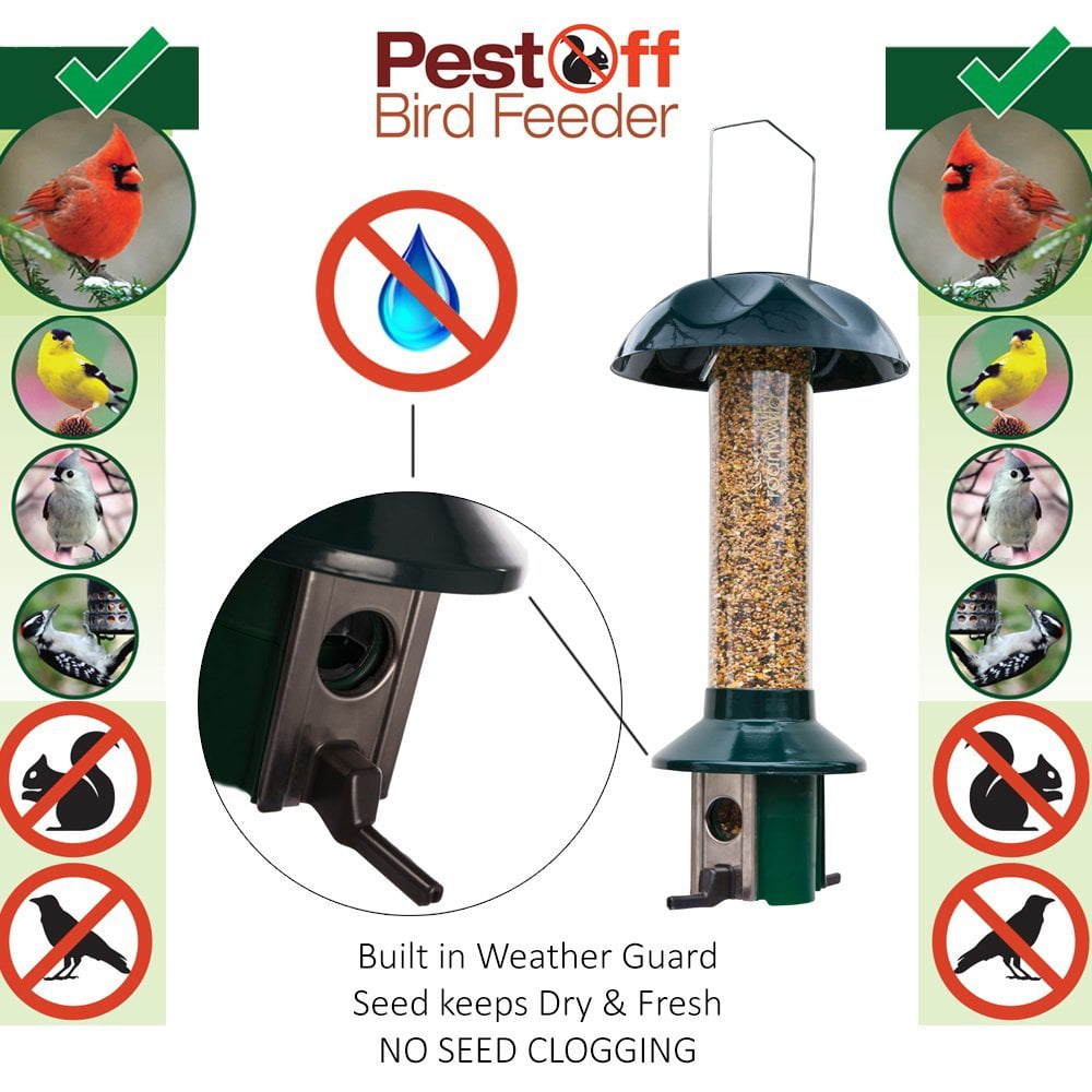 Patio Lawn Garden Birds Roamwild Pestoff Squirrel Proof Bird