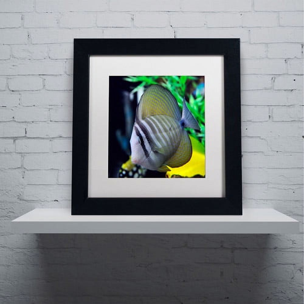 Trademark Fine Art "Tropical Fish 2" Canvas Art by Kurt Shaffer, White Matte, Black Frame