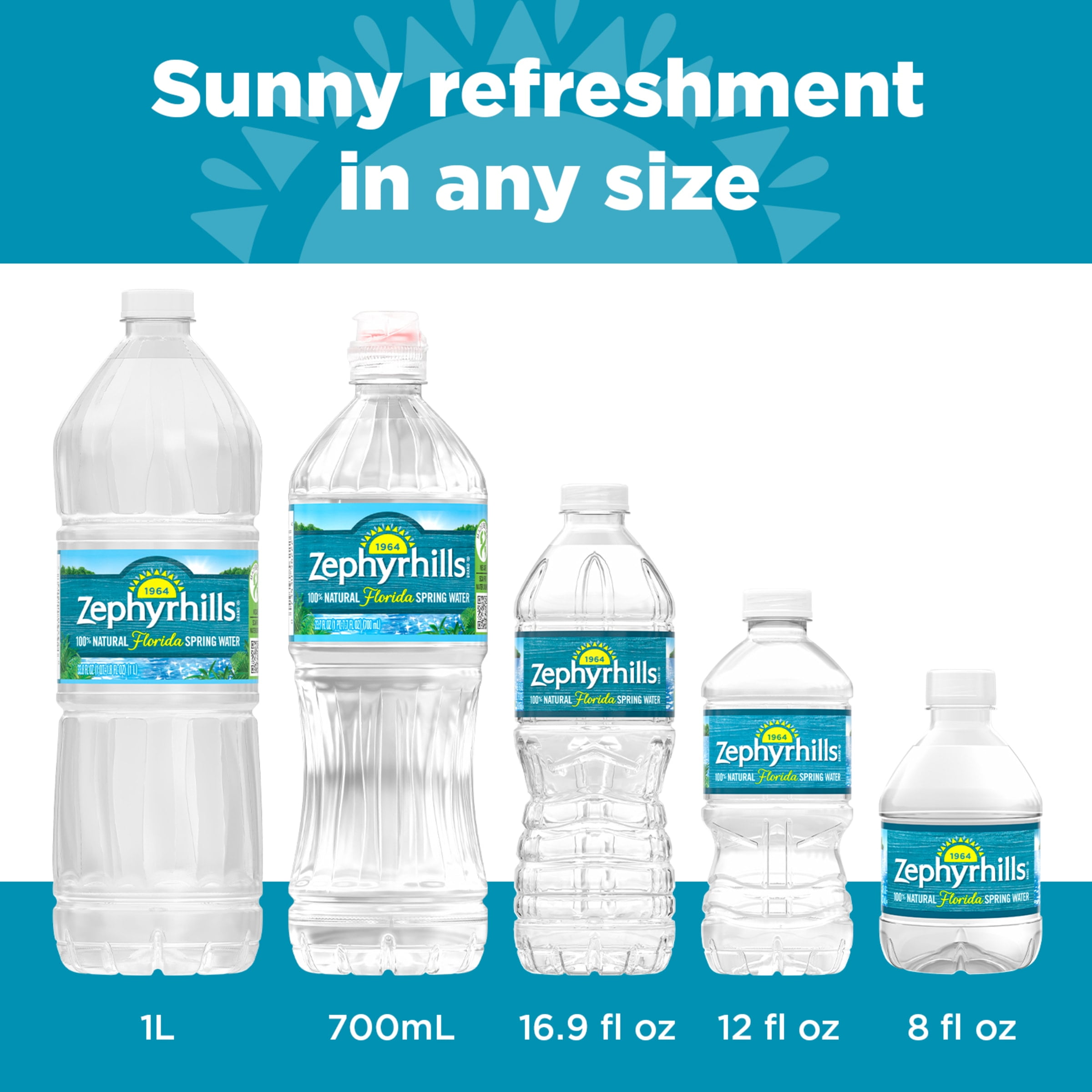 ZEPHYRHILLS Brand 100% Natural Spring Water, 33.8-ounce plastic bottles (Pack of 15) - 3