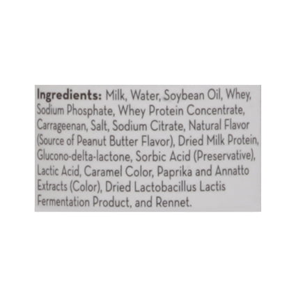 kong easy treat paste puppy