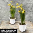 thumbnail image 4 of De Plástico Macetas De Vivero De Plántulas Para Plantas De Interior Y Exterior seitruly HA039778-00, 4 of 6