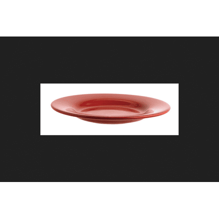 Dinner Plate Storage - Tag Dinner Plate Red Sonoma 11 in.