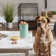 thumbnail image 3 of Bone Dry Lattice Pet Treat Jar Canister, Dishwasher Safe,4x6.5", Aqua, 3 of 7