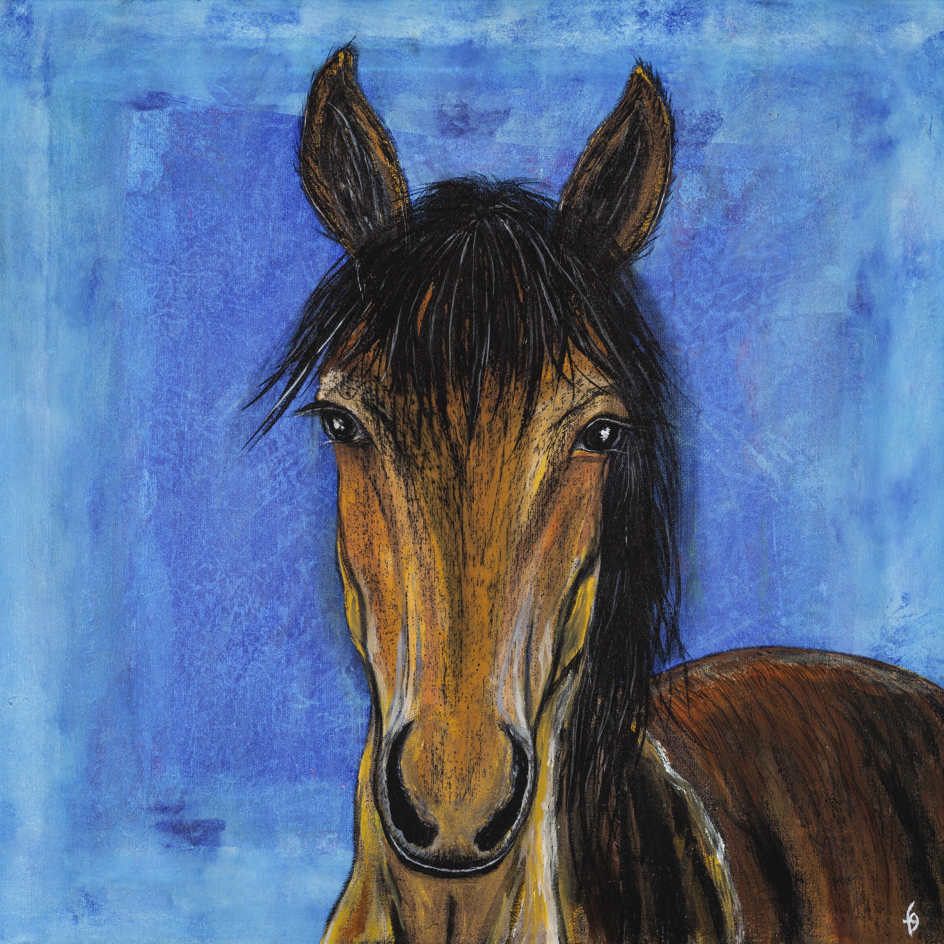 "Hidalgo Mustang Horse" Painting Print on Wrapped Canvas