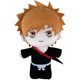 thumbnail image 1 of Xishao Anime Figure Kurosaki Ichigo Plush, Kuchiki Byakuya Stuffed Plushie Doll, Cute Plush Toy Sofa Pillow,Cute Figure For Fans (Color : A, Size : 20cm/8in) A 20cm/8in A 20cm/8in Xishao Juguetes, 1 of 2