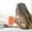 Orange, variant on Stainless Steel Tea Coffee Thermal Cup Range Travel Mug Insulated
