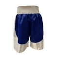 thumbnail image 3 of Men's Professional Boxing Shorts, Ultra Lightweight, and Durable - Ideal for Boxing, MMA, Muay Thai, Kickboxing, and Fitness Training, Blue/White, X-Small, 3 of 7
