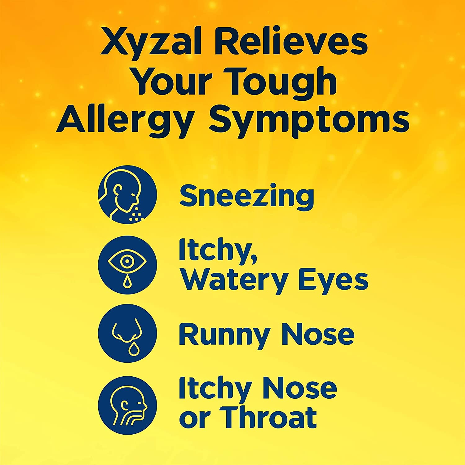 Buy Xyzal Allergy Pills, 24Hour Allergy Relief, 80Count, Original
