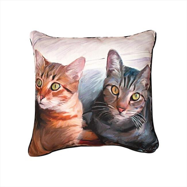 18" SQUARE PILLOWS "WHAT WE LEARN FROM CATS" REVERSIBLE PILLOW 
