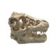 thumbnail image 1 of Billuyoard Cráneo de decoración de acuario de resina para adorno de pecera decoración del acuario, 1 of 6