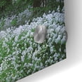 thumbnail image 3 of Epic Art 'Fragrant Road' by Martin Podt, Acrylic Glass Wall Art, 36"x24", 3 of 8