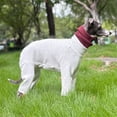 thumbnail image 5 of HQREA Fullbody Greyhound Dog Winter Coat Clothes Turtleneck Four-Legged Dog Onesie Pajamas, 5 of 6