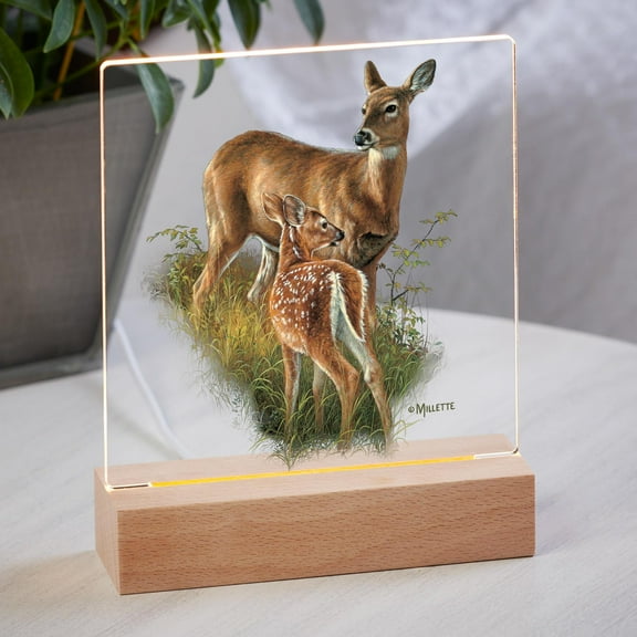 Birch Creek—Whitetail Deer