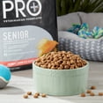 thumbnail image 2 of Pure Balance Pro+ Senior Salmon and Brown Rice Recipe Dry Dog Food, 8 lb, 2 of 12