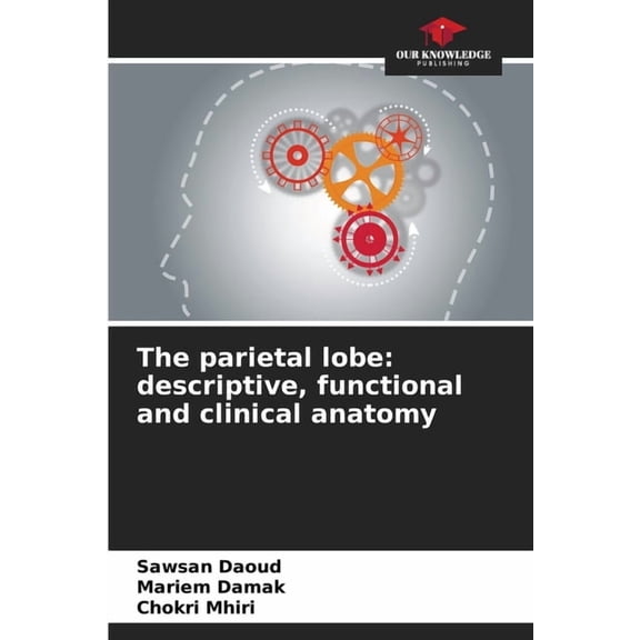 The parietal lobe: descriptive, functional and clinical anatomy, (Paperback)