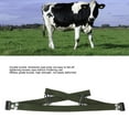 thumbnail image 3 of Sheep Anti Splitting Belt, Cow Anti Splitting Belt Sturdy  For Farm, 3 of 8