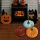 thumbnail image 1 of 3 piezas de calabazas de terciopelo perfecl de 15 cm de Diámetro para decoración de otoño, 1 of 8