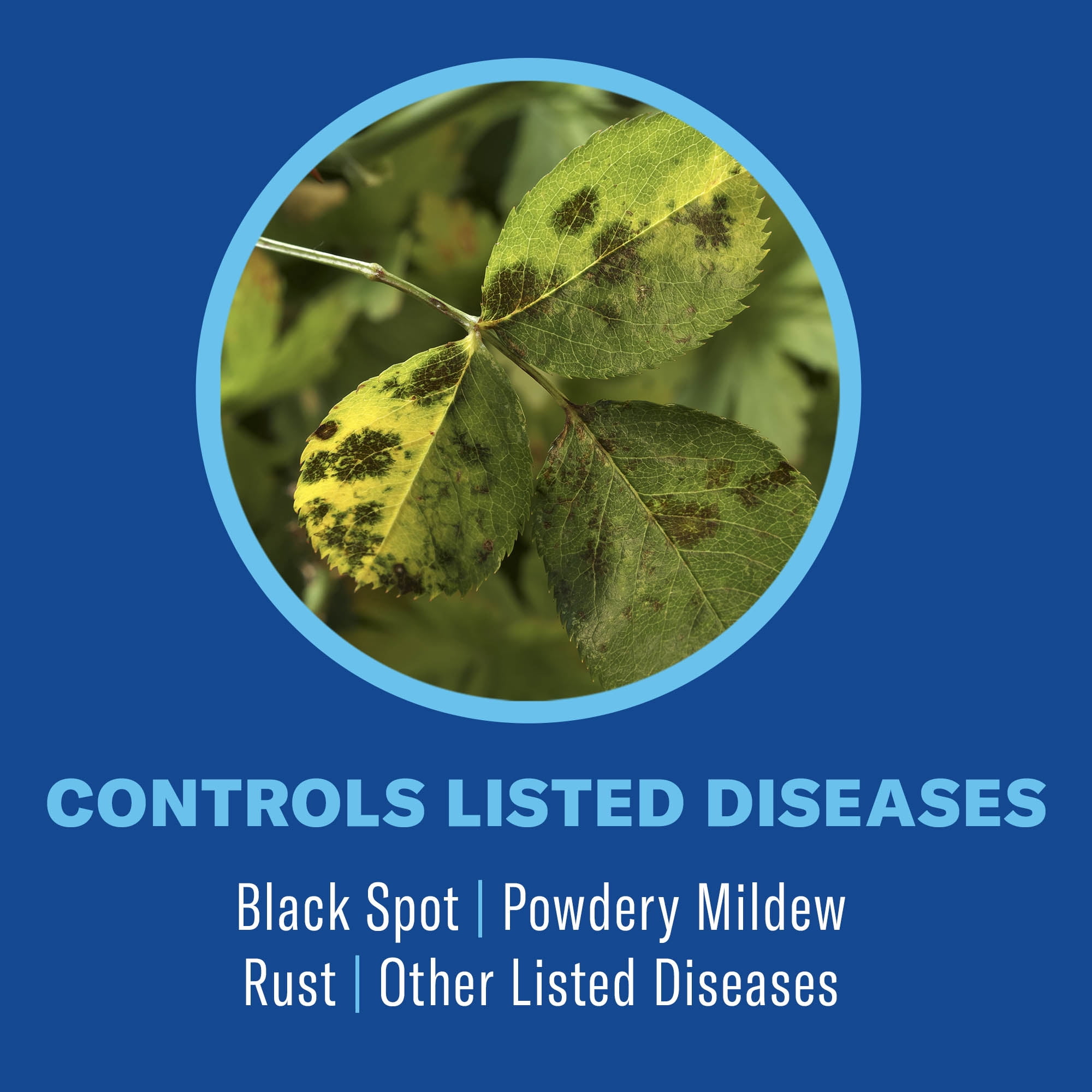 BioAdvanced 3-in-1 Insect, Disease & Mite Plant Control, Ready to Spray, 32 fl oz Bottle