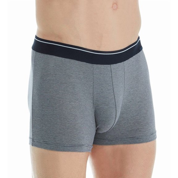 Men's Calida 25187 Cotton Stretch Striped Boxer Brief (Fog L)