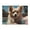 500 Pieces, variant on 500-Piece Wooden Jigsaw Puzzle for Adults - Dog Swimming Pool Summer Sky , Fun & Challenging Brain Teaser, Stylish Home Decor & Unique Gift