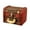 Retro Lock, variant on Grandest Birch Vintage Engraved Jewelry Storage Box Treasure Holder Organizer Case with Lock Antique Storage Container with Lock E