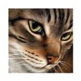 thumbnail image 2 of Cuadros Decorativos 5D Diamond Painting DIY Wolf Pictures Kit Full Drill Art Home Decor (B2387) DQrwqpou Nuevos Originales, 2 of 9