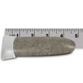 thumbnail image 5 of Jobe's Slow Release Tree and Shrub Fertilizer Spikes, 5 Count, 5 of 8