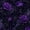 Color 2, variant on Peel and Stick Wallpaper 17.7in x 9.8ft Clover Fern Botanical Purple Wildflowers Black Contact Paper Vinyl Waterproof Self Adhesive Wall Paper for Bedroom Shelf Cabinet Renter Friendly