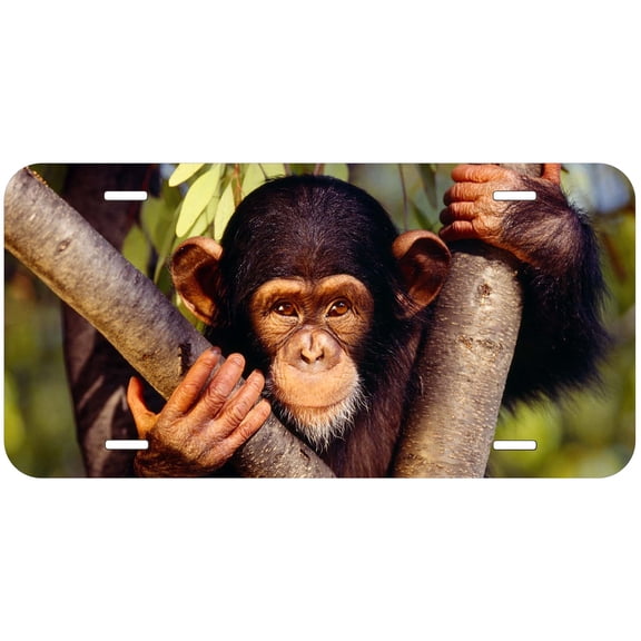 Monkey TAG29 Novelty Car Auto License Plate