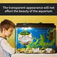 thumbnail image 4 of Bol d'Alimentation Aquarium, 2 Pcs Plat d'Alimentation pour Crevettes Réservoir de Poissons en Verre Plats Ronds et Carrés Transparents, 4 of 5