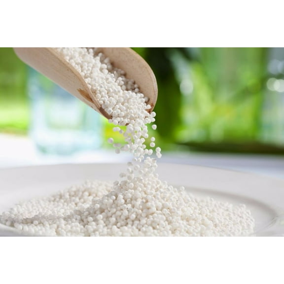 Tapioca Pearl - Medium Sago