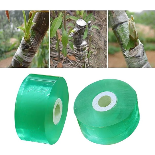 Cinta para injertos, 2 rollos de 2 cm Cinta transparente para injertos, Cinta elástica para injertos de pies, Reparación de plantas Jardín Injerto de árboles Cinta para injertos Barrera co esquí esquí Gafas de esquí