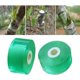thumbnail image 1 of Cinta para injertos, 2 rollos de 2 cm Cinta transparente para injertos, Cinta elástica para injertos de pies, Reparación de plantas Jardín Injerto de árboles Cinta para injertos Barrera co esquí esquí Gafas de esquí, 1 of 5