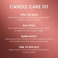 thumbnail image 6 of Yankee Candle Sugared Cinnamon Apple Original Large Jar Scented Candles, 22 oz, 6 of 9