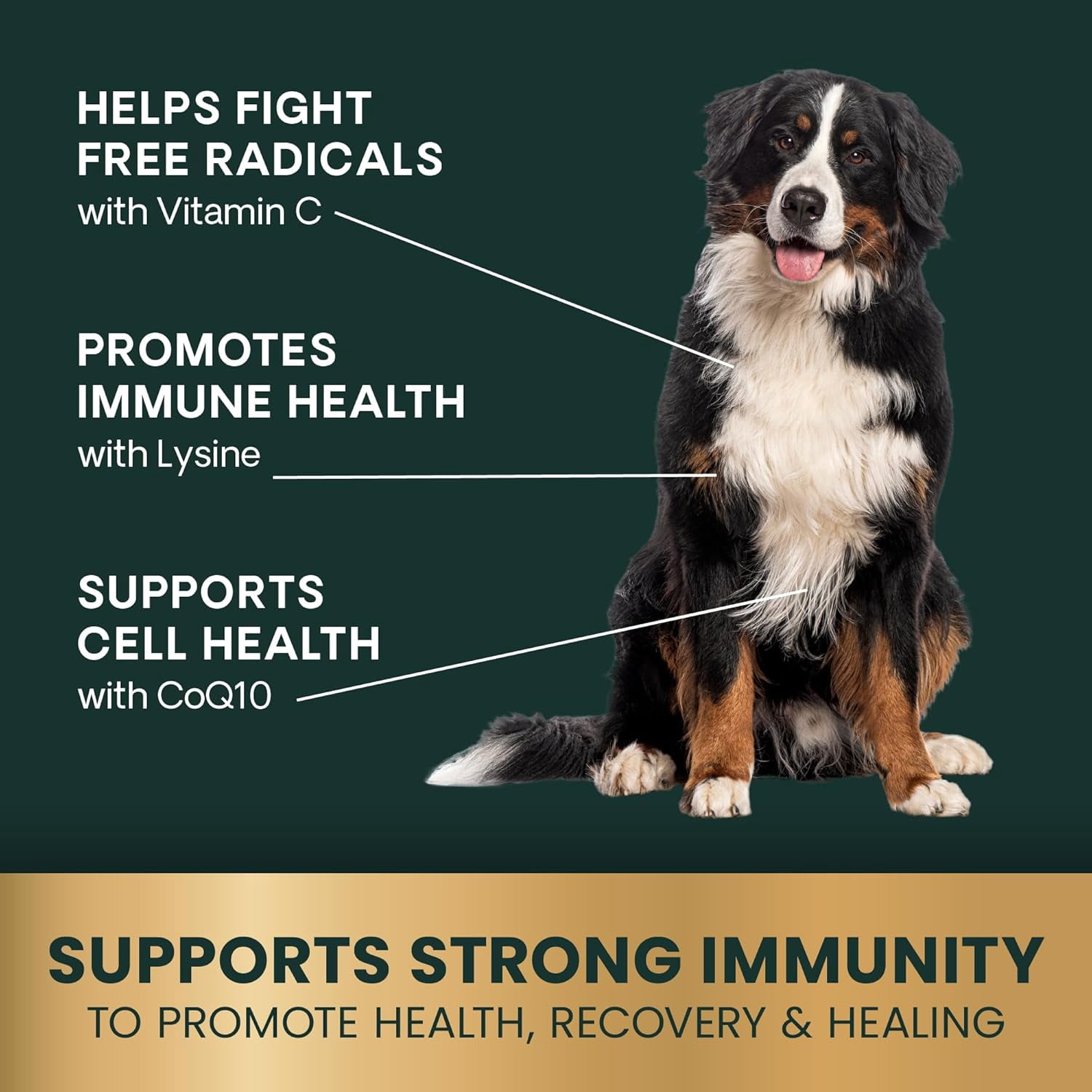 VetriScience Immunity Health Antioxidant Capsules for Dogs, Unflavored, 60 Count Bottle