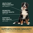 thumbnail image 4 of VetriScience Immunity Health Antioxidant Capsules for Dogs, Unflavored, 60 Count Bottle, 4 of 10