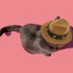 thumbnail image 3 of Sombrero de vaquero para mascotas de poliéster denim - cinta desmontable para la cabeza, talla única - para perros gatos Fiesta/Decoración exterior, 3 of 7