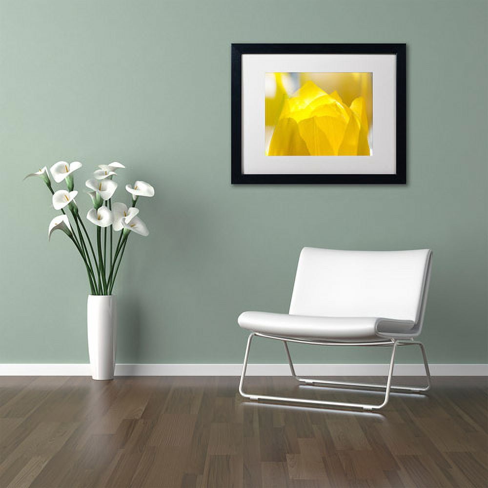 Trademark Fine Art "Yellow Tulip" Canvas Art by Kurt Shaffer White Matte, Black Frame