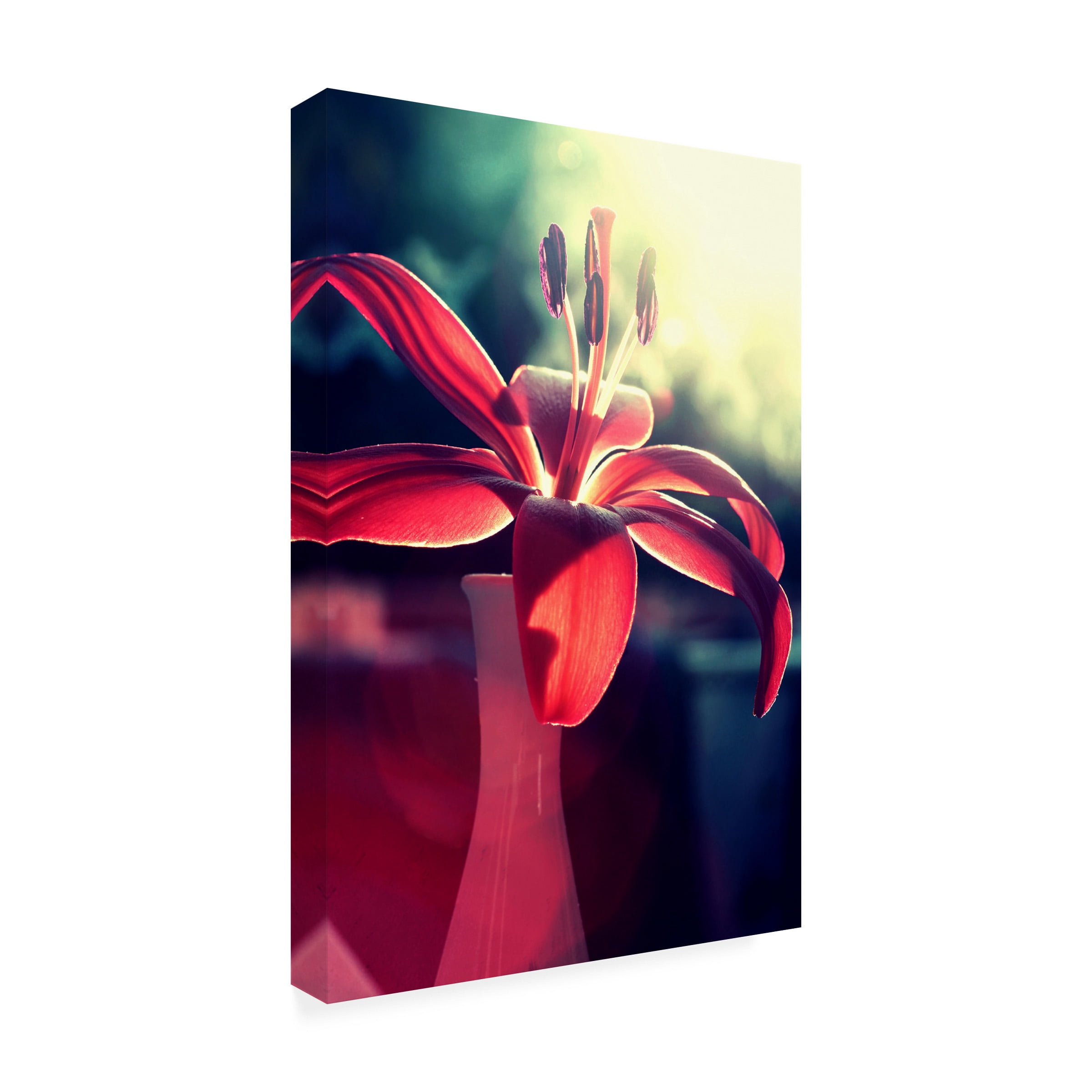 Beata Czyzowska Young 'Lady in Red' Outdoor Canvas