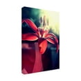 thumbnail image 2 of Beata Czyzowska Young 'Lady in Red' Outdoor Canvas, 2 of 3