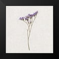 thumbnail image 2 of Bailey, Ann 12x12 Black Modern Framed Museum Art Print Titled - Dainty Purple 3, 2 of 5